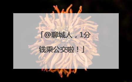 @聊城人，1分钱乘公交啦！