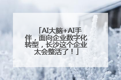 AI大脑+AI手伴，面向企业数字化转型，长沙这个企业太会整活了！