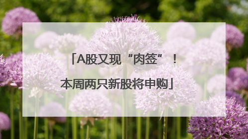 A股又现“肉签”！本周两只新股将申购