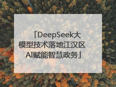 DeepSeek大模型技术落地江汉区 AI赋能智慧政务