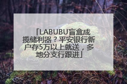 LABUBU盲盒成揽储利器？平安银行新户存5万以上就送，多地分支行跟进