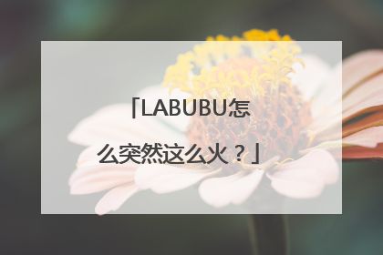 LABUBU怎么突然这么火？