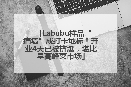 Labubu样品“痛墙”成打卡地标！开业4天已被挤爆，堪比早高峰菜市场