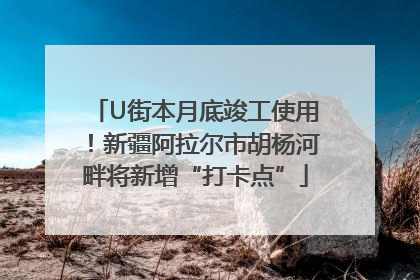 U街本月底竣工使用！新疆阿拉尔市胡杨河畔将新增“打卡点”